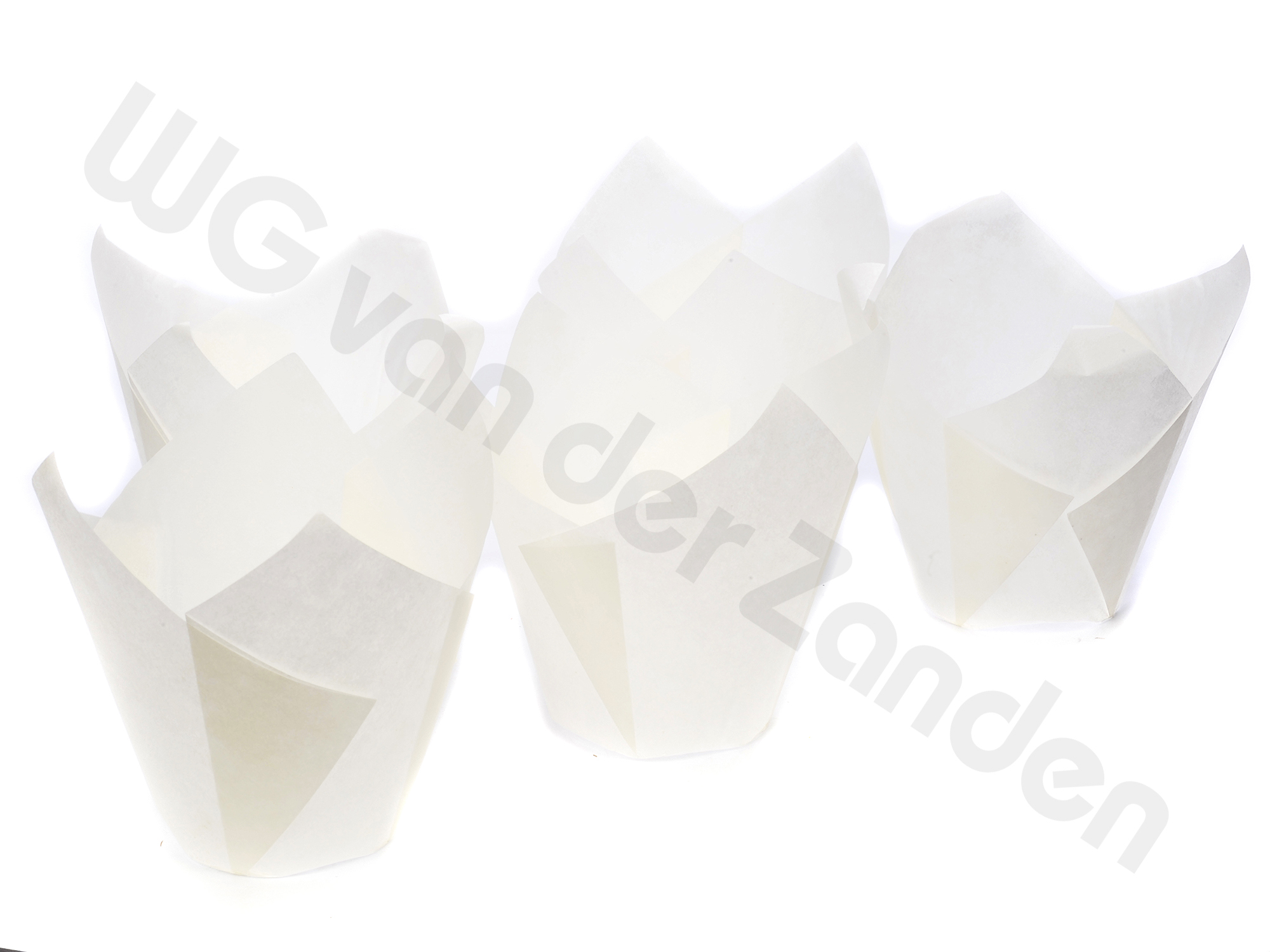 663011 CAISSES TULP 70X45MM WIT