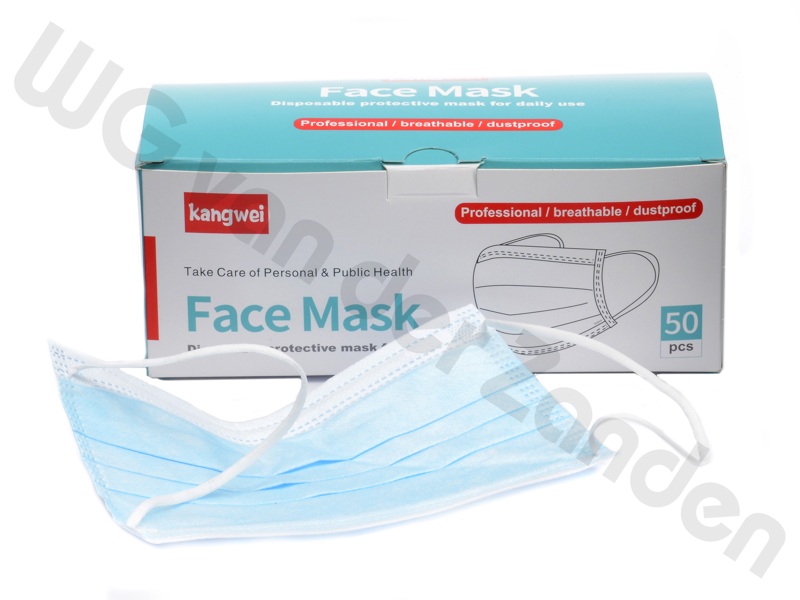 666509 FACE MASK DISPOSABLE 3-PLY